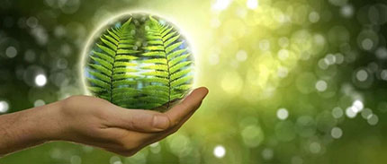 联合国可持续发展第12个目标：解码清洁行业可持续发展之路