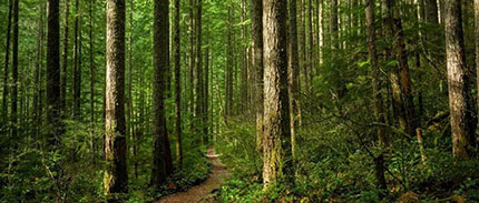 携手同行，共赴可持续未来！